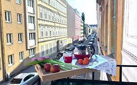 Big And Comfortable Mariahilfer Apartment
